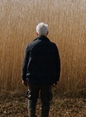 Reedland